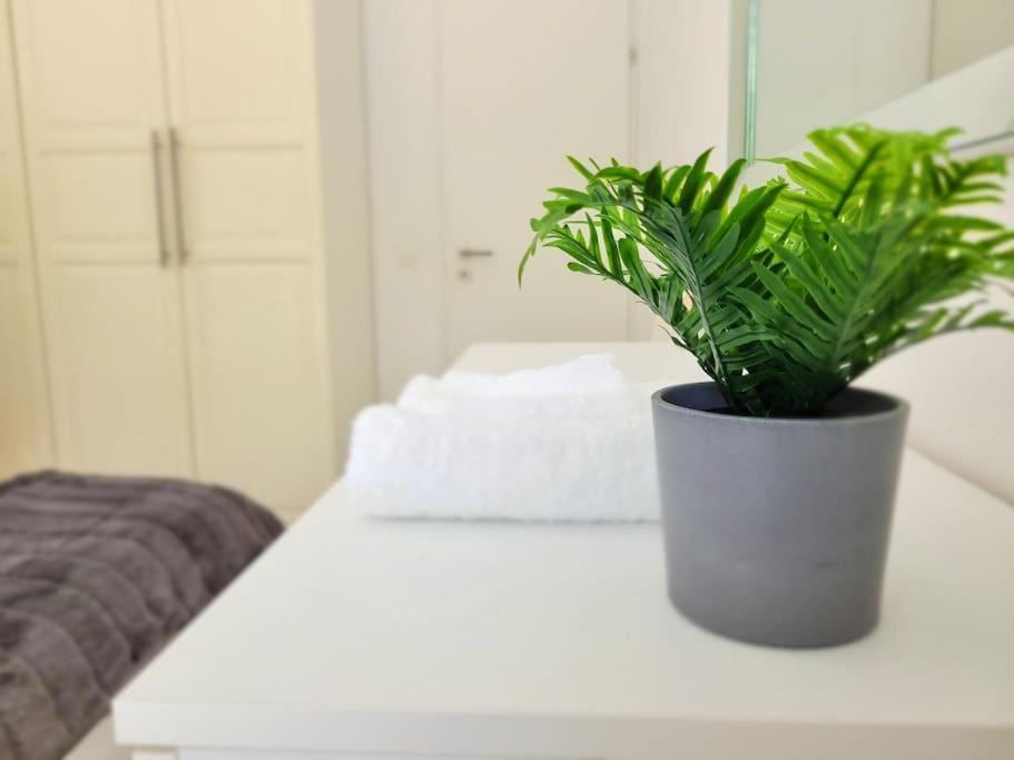 Apartment Palma - Central & Cozy With Free Private Parking لوغانو المظهر الخارجي الصورة